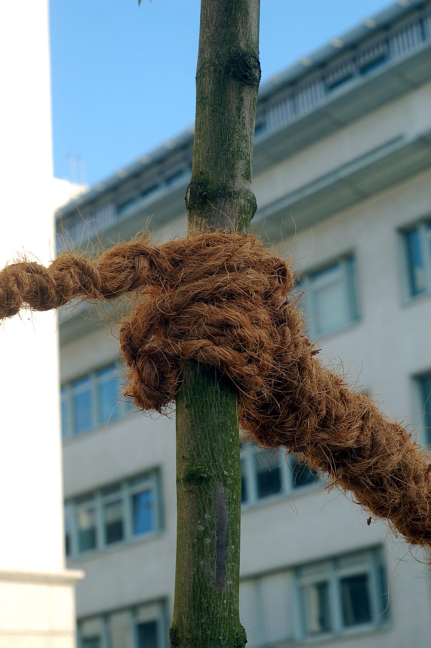 node, rope, bond, strain, support