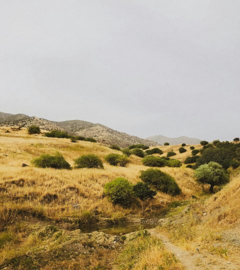 pexels-photo-32145842-32145842 Serene view of arid hills with scattered shrubs under an overcast sky, offering a natural retreat.